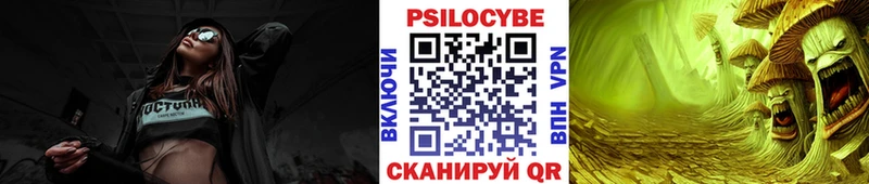 Купить где  Тобольск  Псилоцибиновые грибы Psilocybine cubensis 